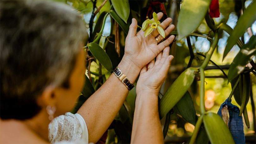 Shelley Burich, in her vanilla plantation, holding a vanilla flower with both hands